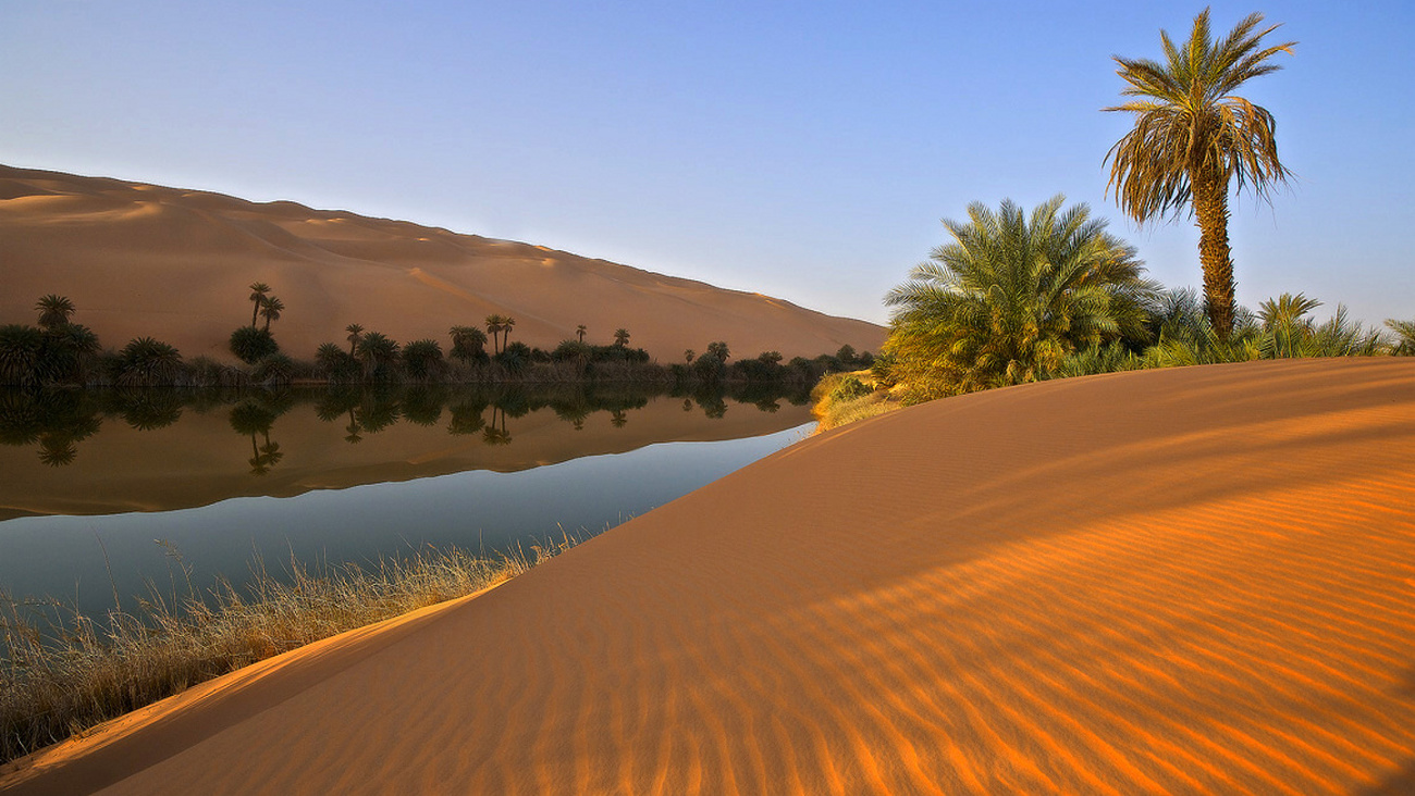 كما حرارة الصحراء سوف تساعد على 