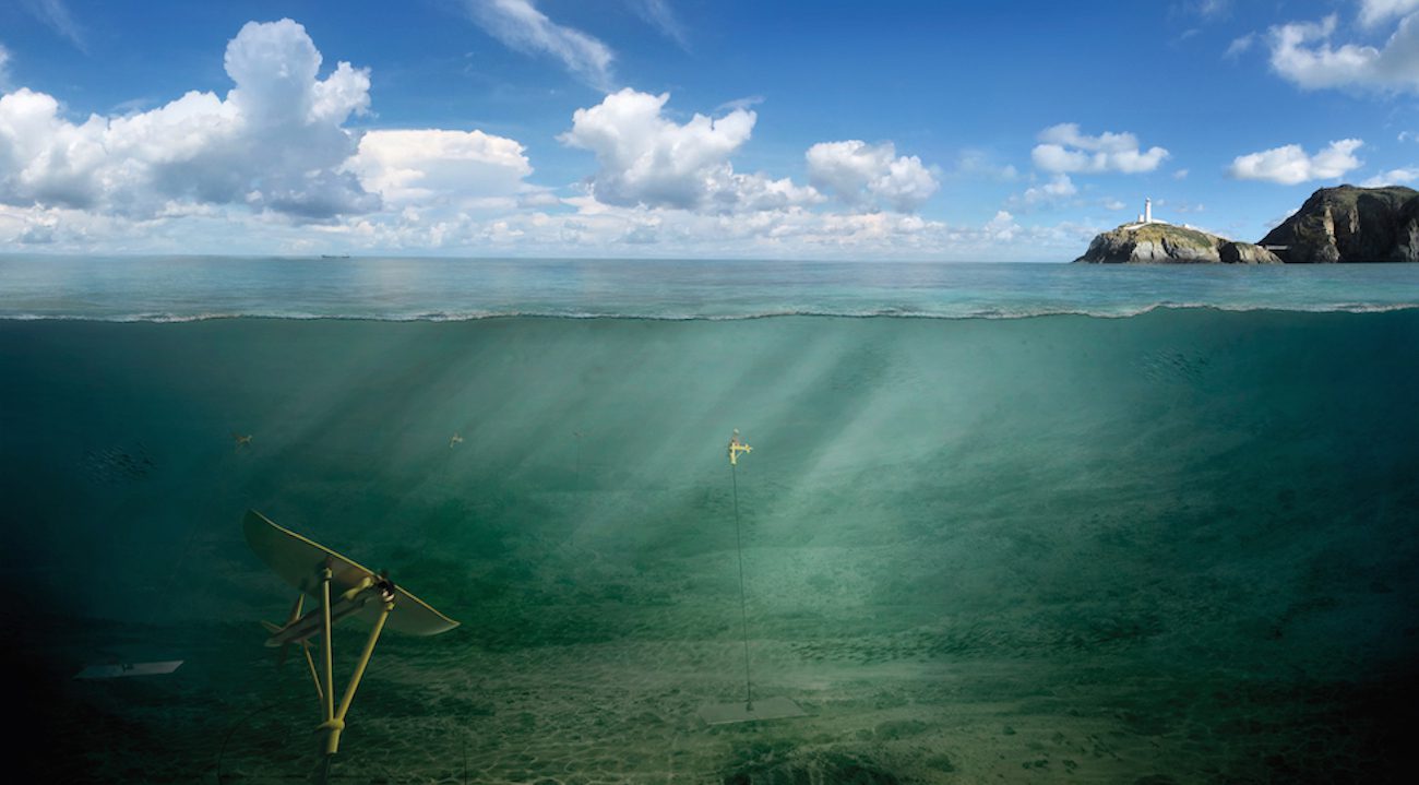 Deep Green — Unterwasser-Roboter-Schmetterling, «Fliegen» im Wasser für die Energiegewinnung