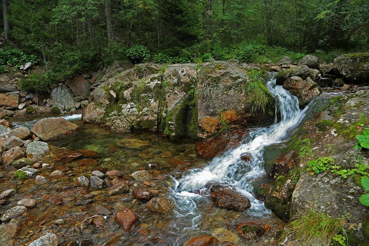 In Germany have developed a water film generator