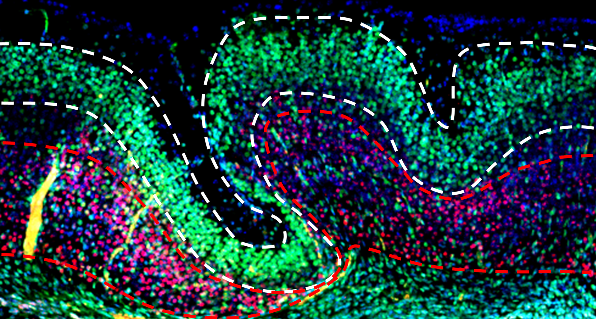 Os neurocientistas podem dar-nos a felicidade eterna. Mas isso é bom?