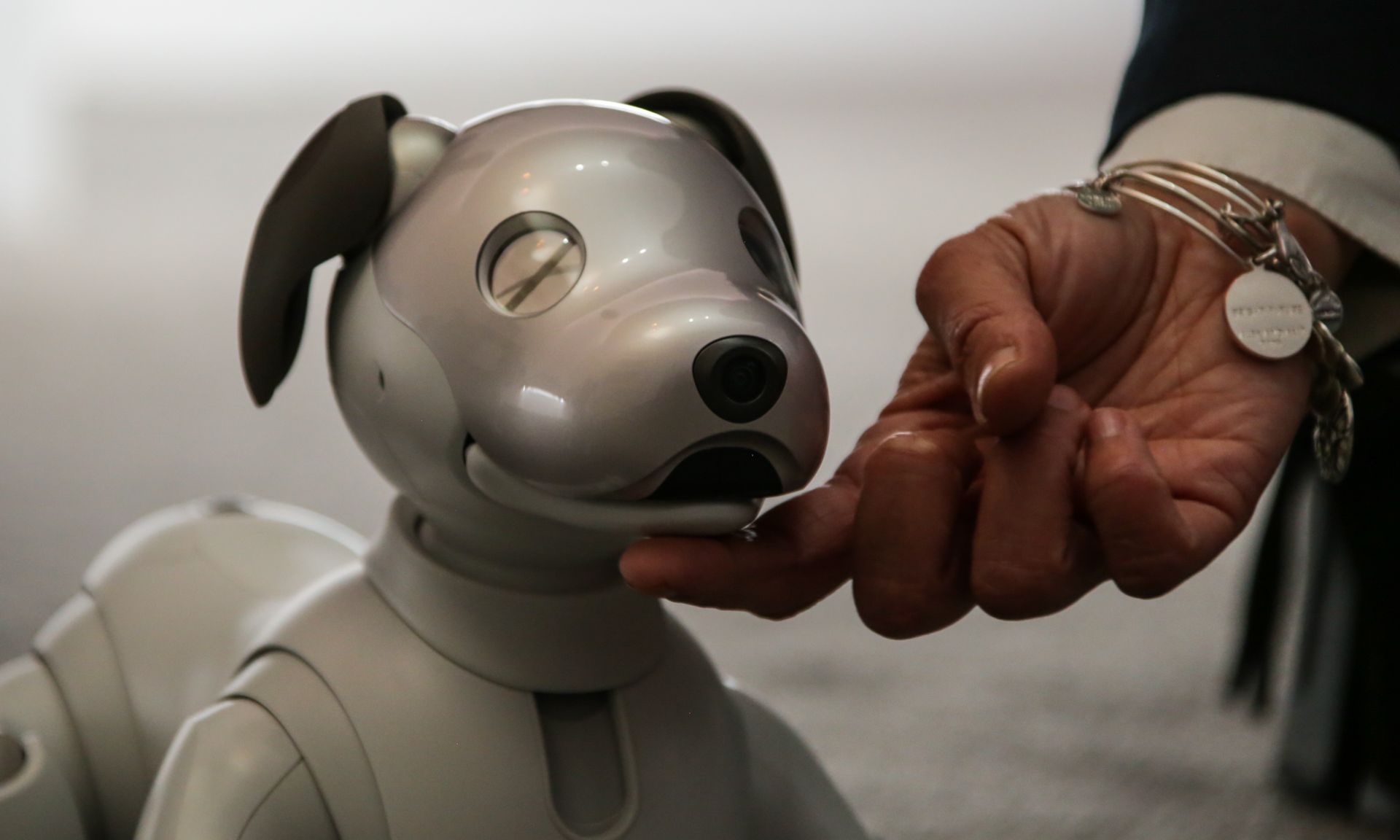 #CES 2018 | Ziyaretçi CES 2018 geldi zevk için yeni bir sürüm robot Aibo