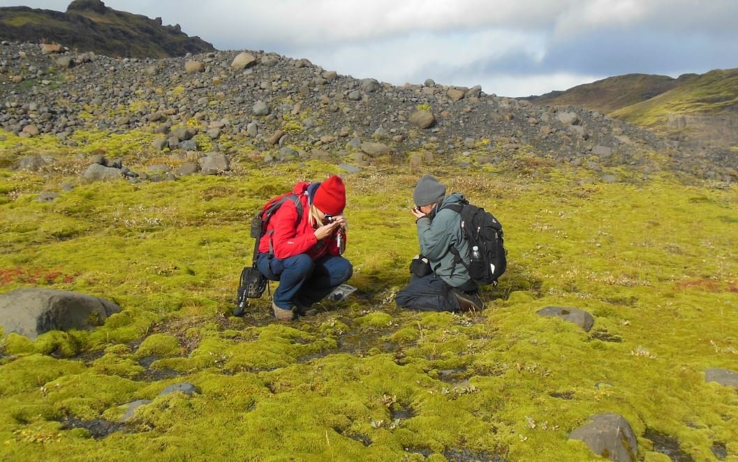 Plants colonized Earth for 100 million years earlier than expected