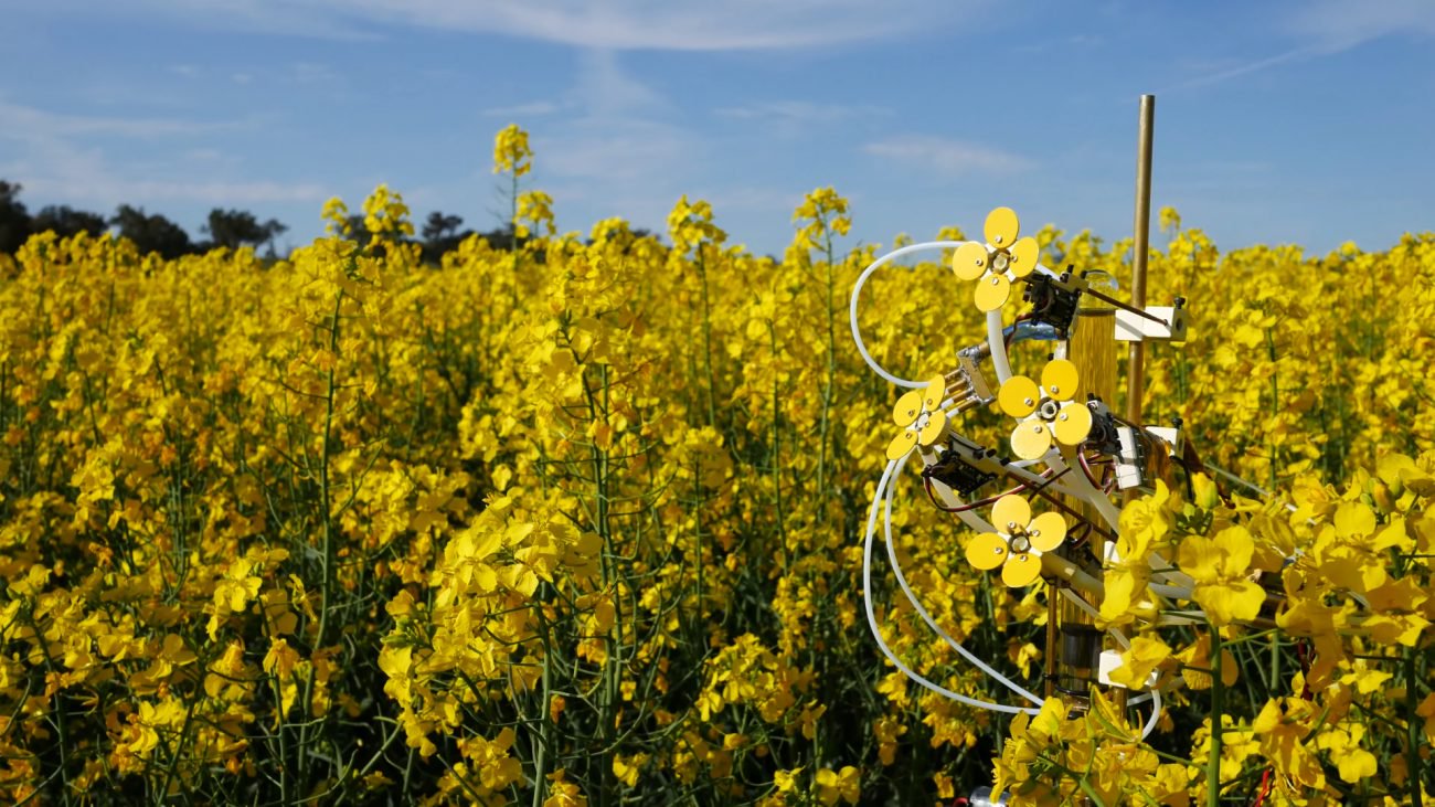 In Australia has created an artificial flower with nectar and pollen