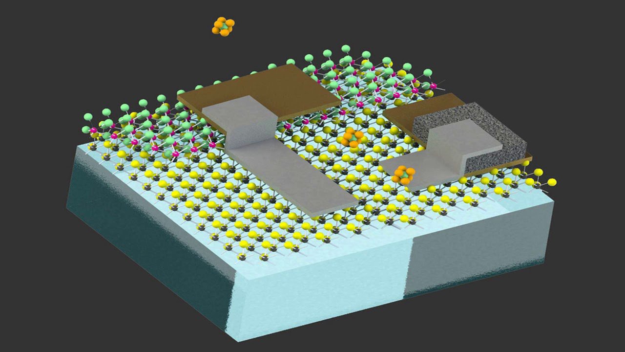 Engineers at MIT have created a robot the size of a human cell