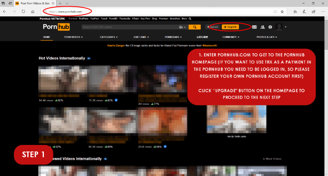 Ahora monedas de Tron puede pagar por la pornografía en Pornhub. La instrucción con imagen adjunta