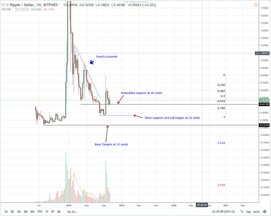 To the moon: when the Ripple will grow to a new high?