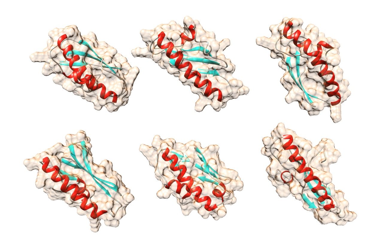 Created a new technology of mass sequencing of proteins