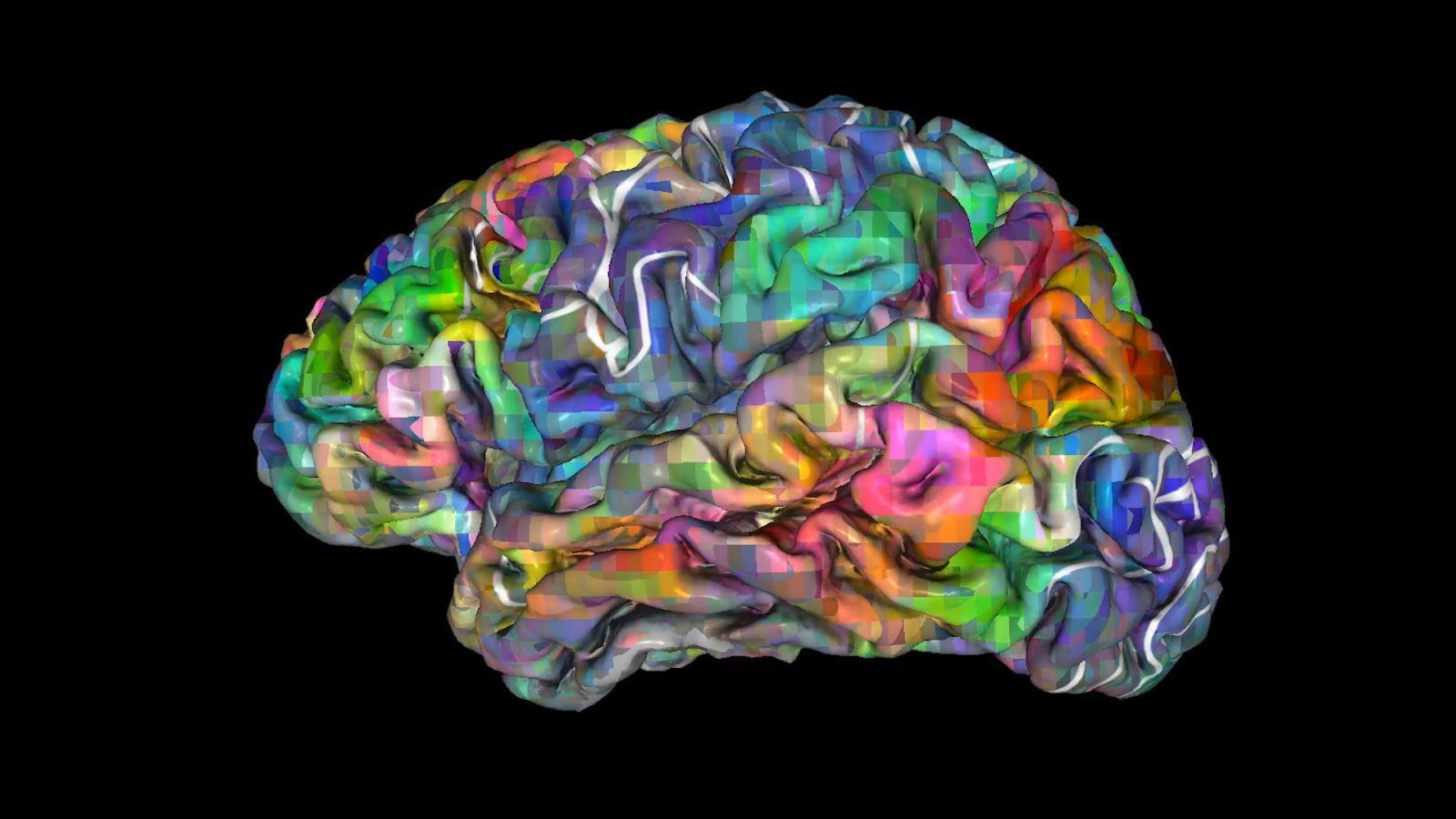 Australian neuroscientists were able to predict the people's choice for 11 seconds before making their decisions