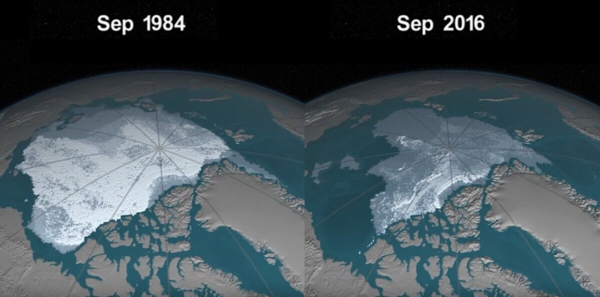 In the Arctic snows with a piece of plastic