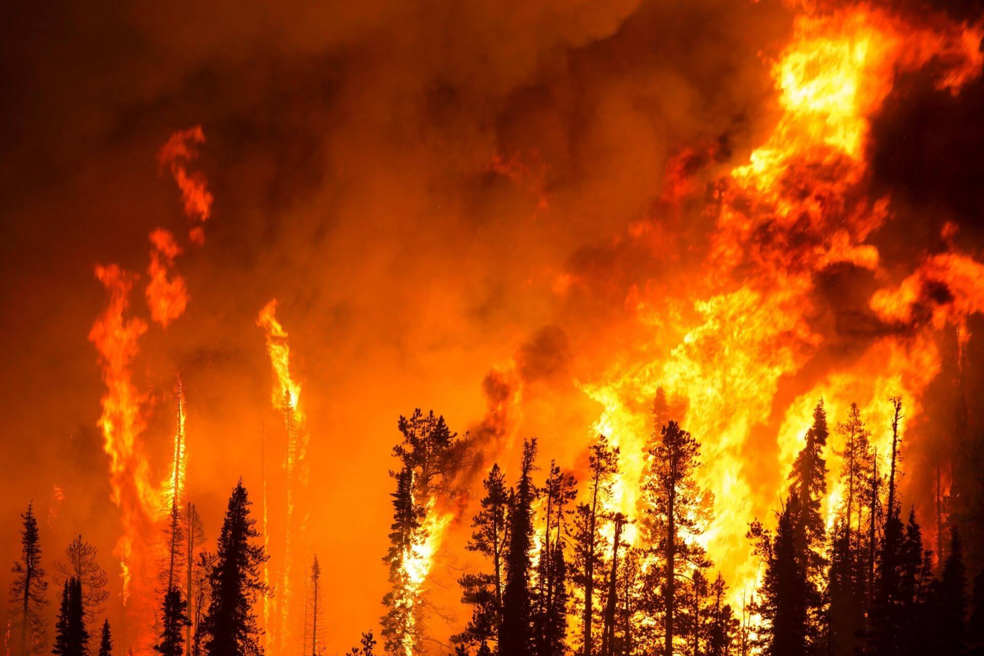 Sviluppato un modello in grado di predire incendi per 20 minuti prima di incendio