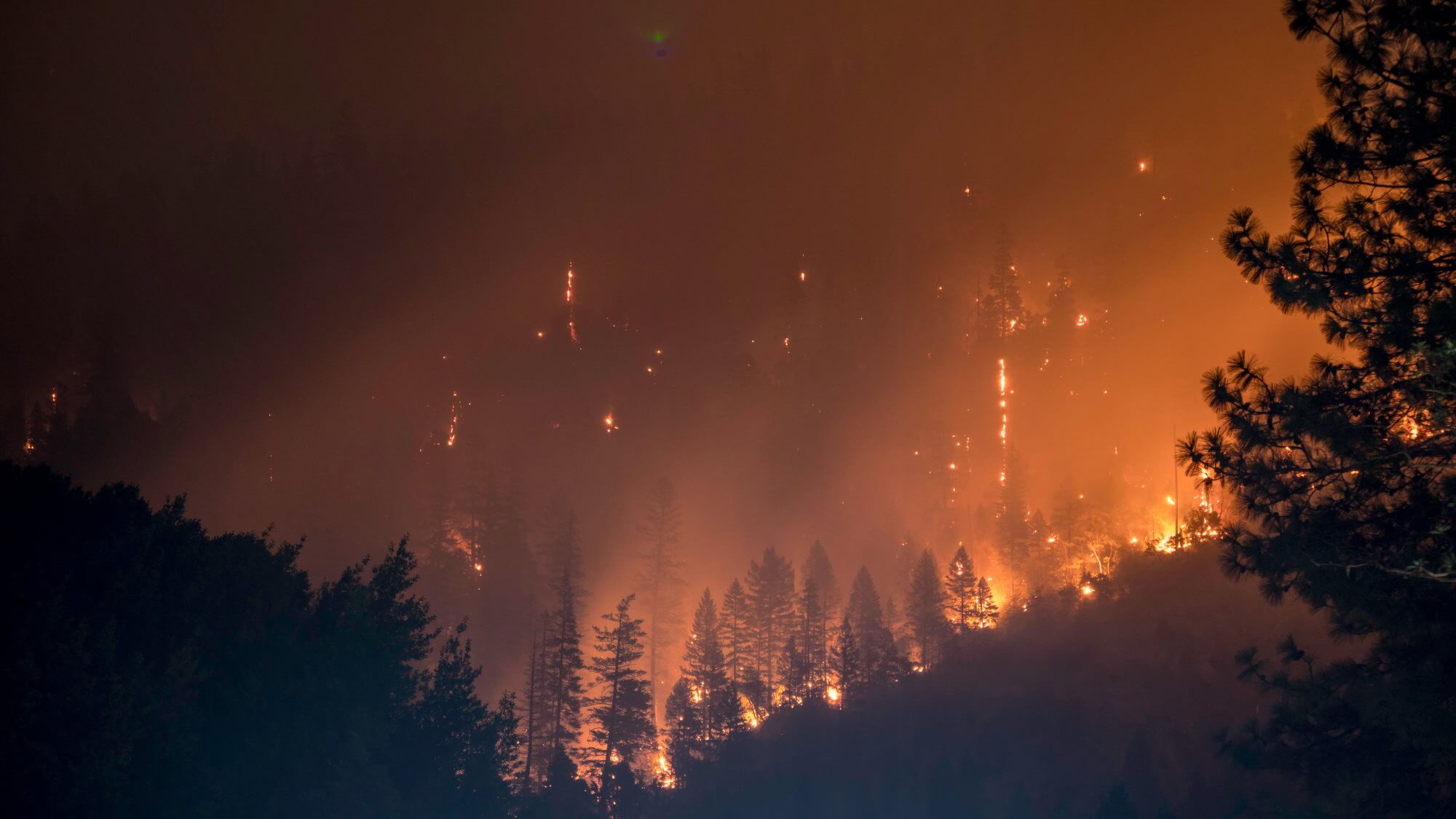 Ha creado una herramienta para la prevención de incendios forestales. Cómo funciona?