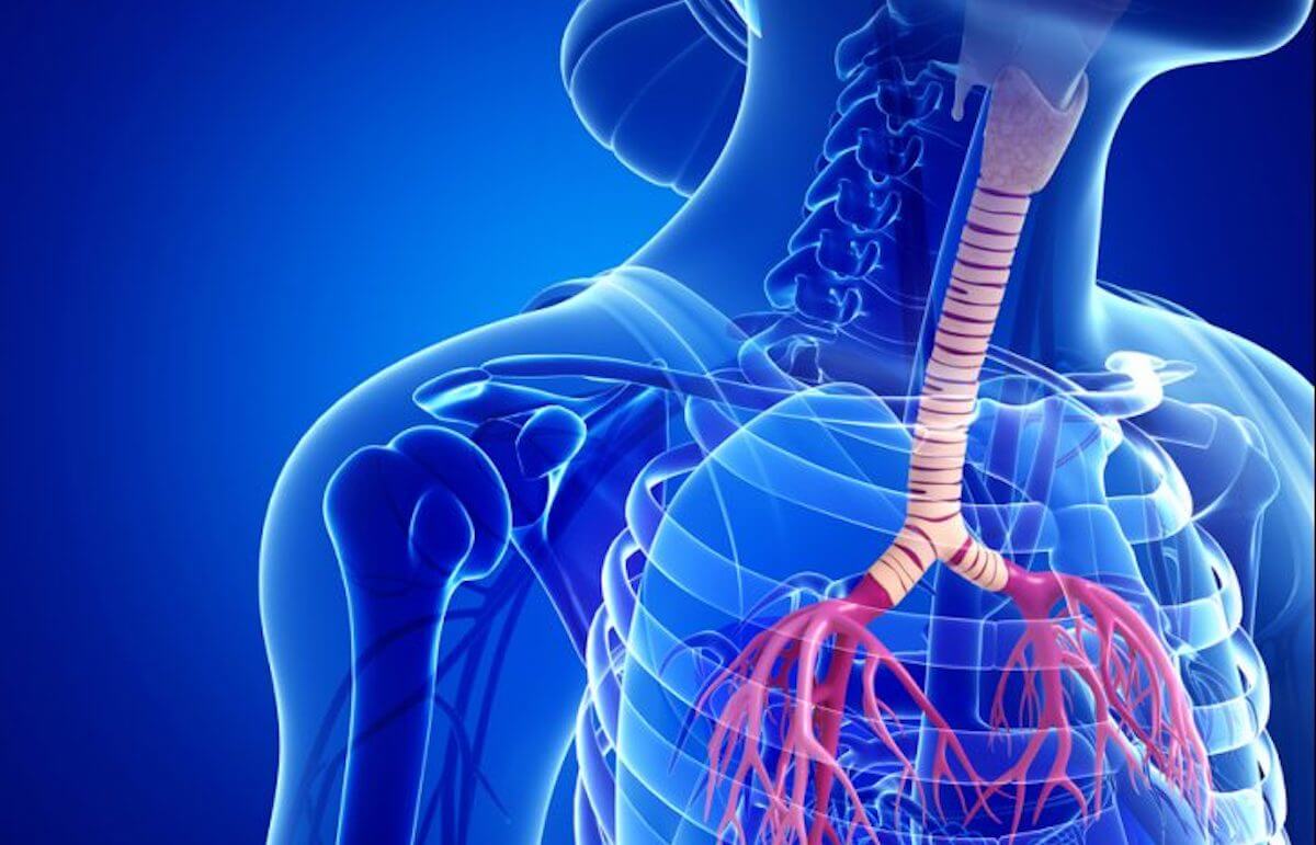 Scientists for the first time in the history of the printed trachea on the bio-printer