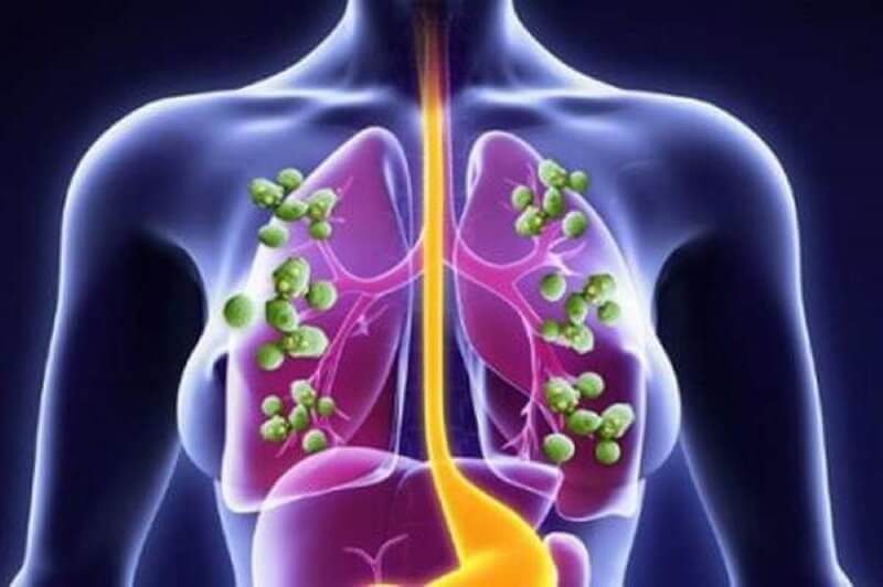 In the air we breathe a lot of fungal cells. How are they dangerous?