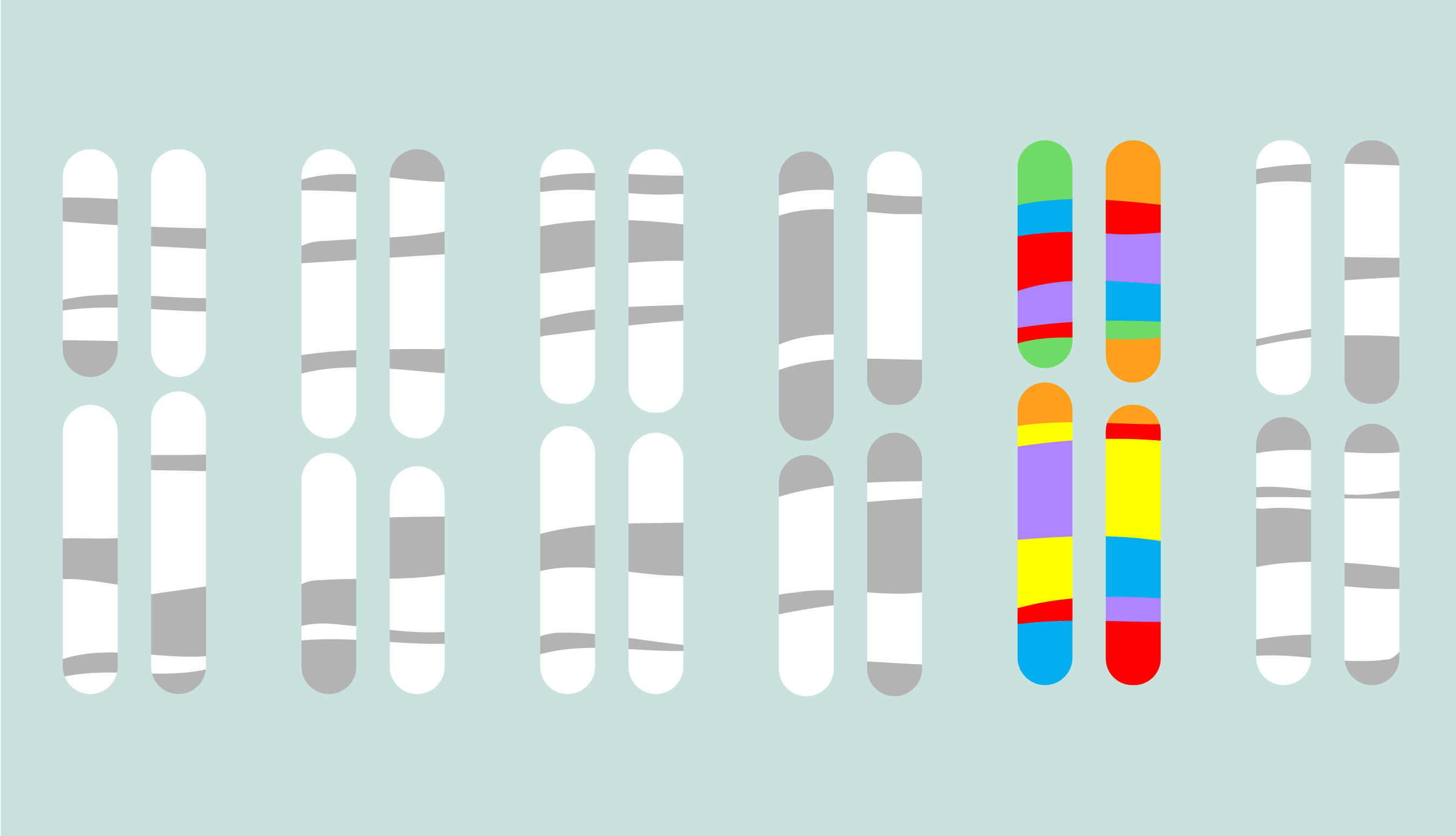 If genes determine sexual orientation?