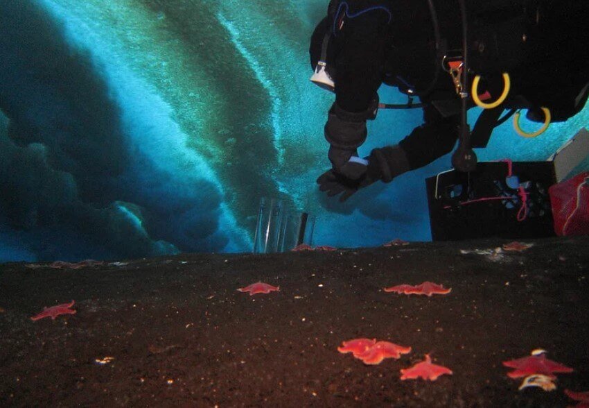 In Antarctica discovered a leak of methane, which could accelerate global warming