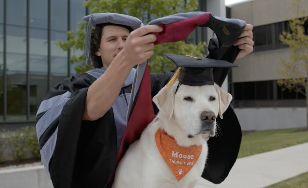 Quelles professions peuvent maîtriser les animaux?